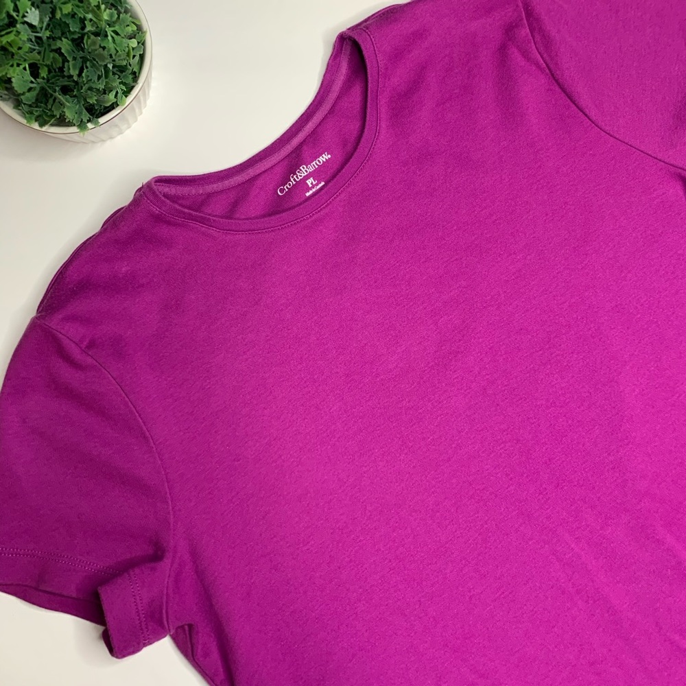 5for $25 🔺Croft&barrow shirt 👚Size PL - Picture 3 of 4